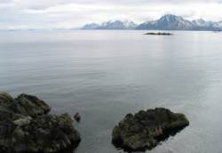 Bering Sea Alaska photo