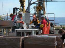 Seafood Processing Jobs